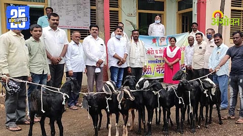 Goat Distribution