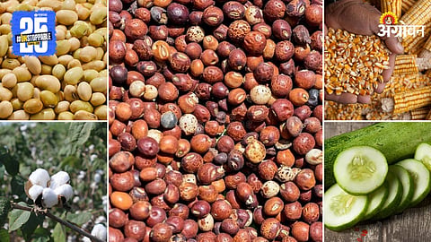 Market Products