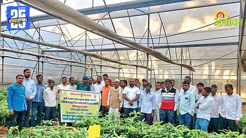 Farmer Study Tour