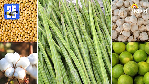 Market Products
