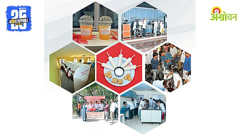 Dairy Industry