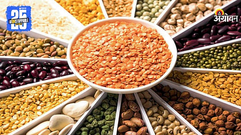 Pulses