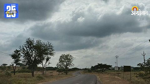 Climate Change Impact