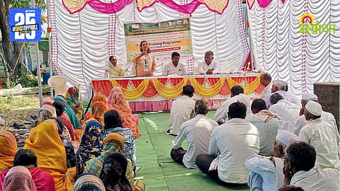 Maize Crop Training