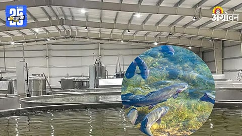 Trout farming 