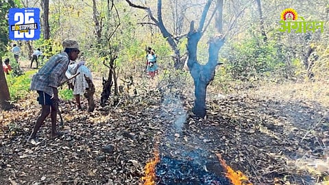 Wildfire Prevention