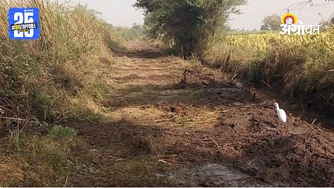 Panand Road
