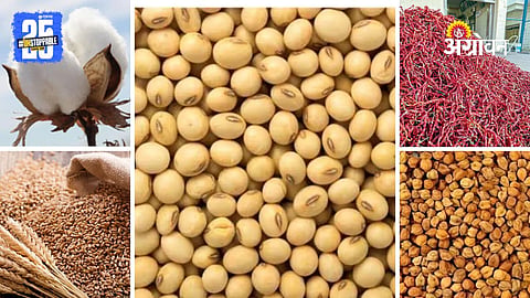 Agrowon Podcast