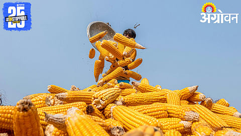 Agriculture Growth