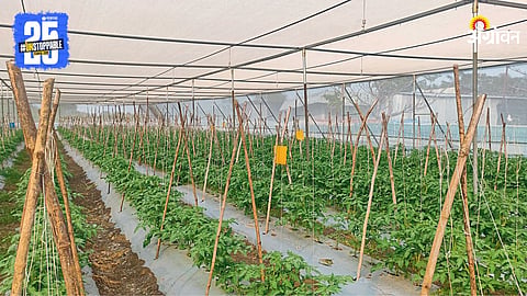 Smart Farming