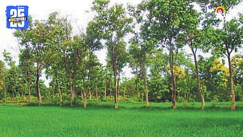 Agriculture