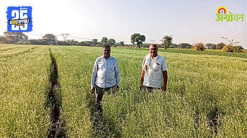 Aliv Farming