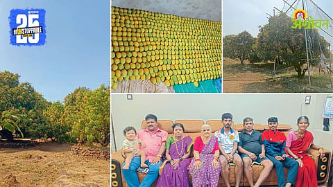 Mango Farming Success Story