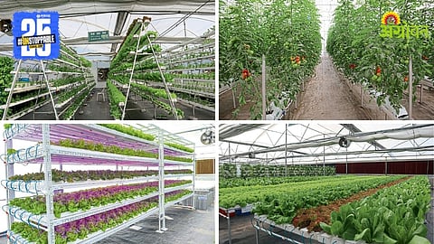 Smart agriculture technology