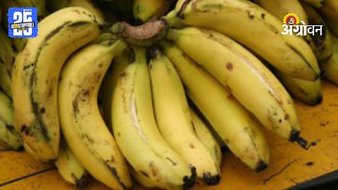 Banana Market