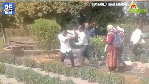 Farmer Assault