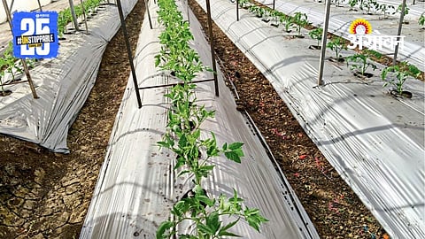 Modern Agriculture
