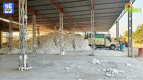 Cotton Prices