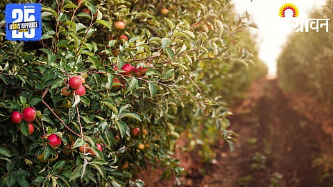 Agriculture Crisis