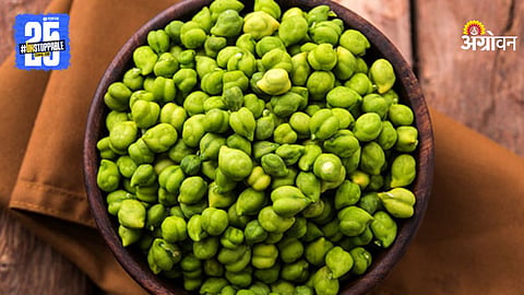 Green Chana