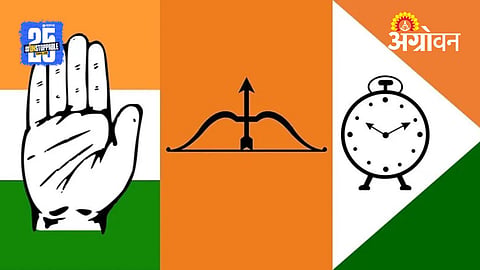 Municipal Elections