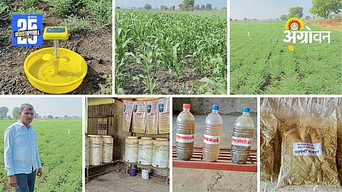 Organic Farming