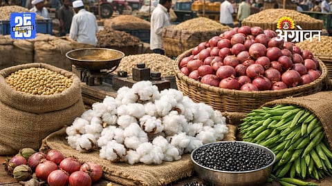 Agrowon Podcast
