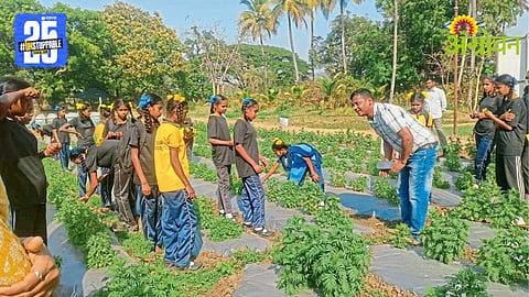 Modern Farming