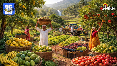 Fruit Farming