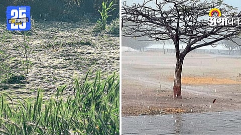 Unseasonal Rain