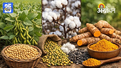 Agrowon Podcast