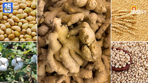 Market Products