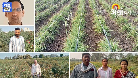 Farmer Success