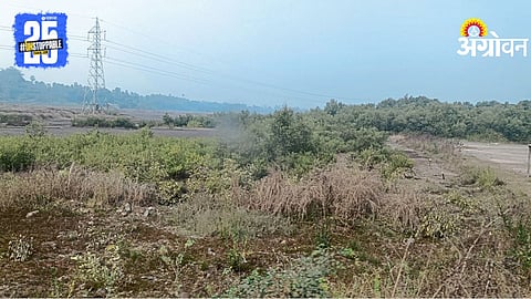 Environmental Crisis
