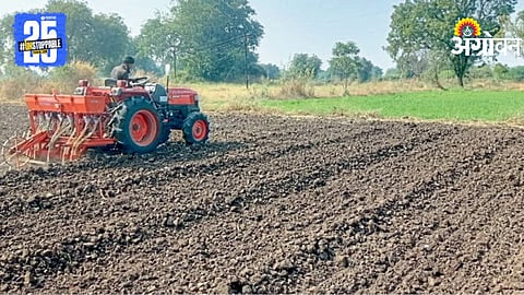 Bajra Sowing