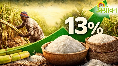 Sugar Production