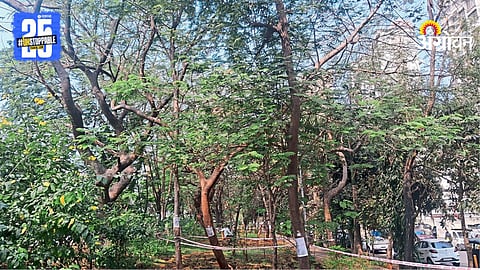 Tree Cutting Protes