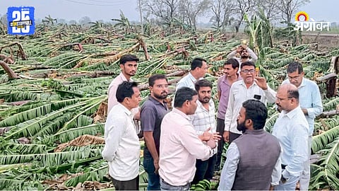 Crop Damage