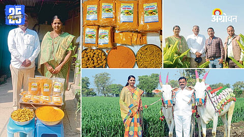 Turmeric Processing Industry