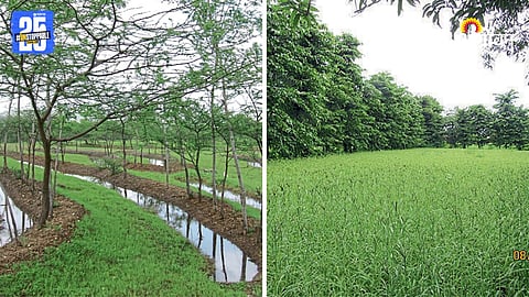 Water Conservation