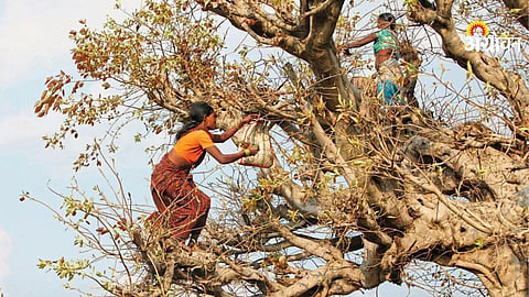 Rural Economy