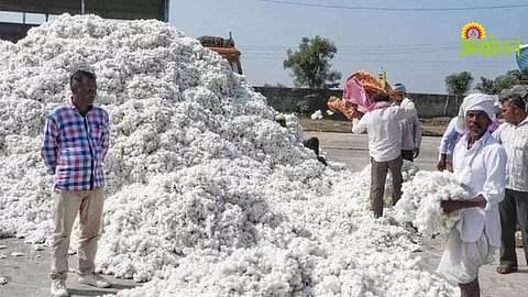 Cotton Purchase Fraud