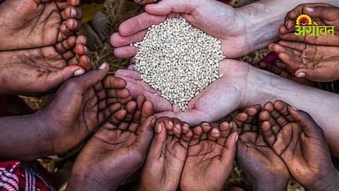 Food Security