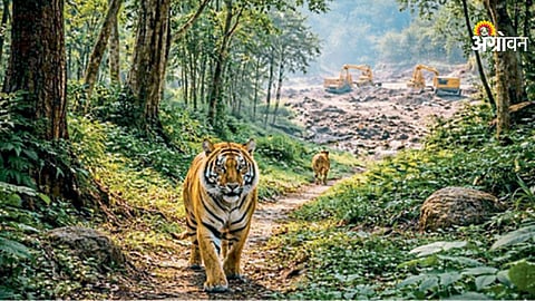 Tiger