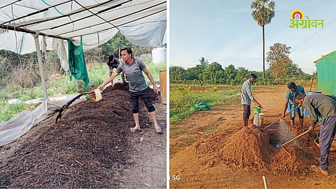Compost Fertilizer
