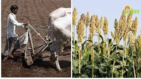 Rabi Sowing