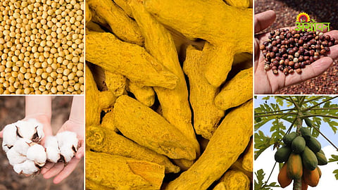 Market Products
