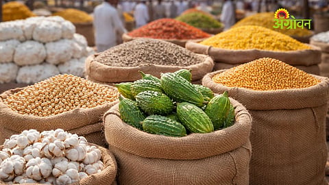 Agrowon Podcast