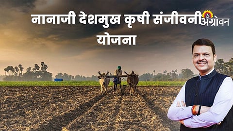 Maharashtra agriculture scheme implementation issues