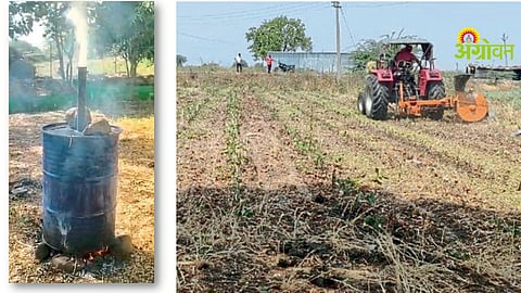 Biochar